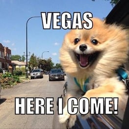 vegas meme